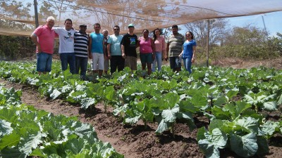 Equipe do Governo do Estado e secretário do SRA/MDA, Adhemar Almeida visitam Cinturão Verde, zona rural de São Luís